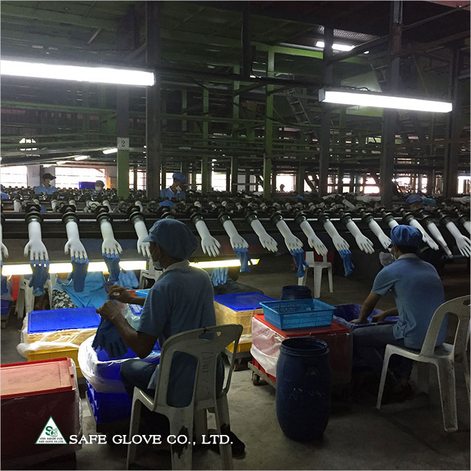 Latex Examination Gloves and Nitrile Disposable Gloves - Production Line